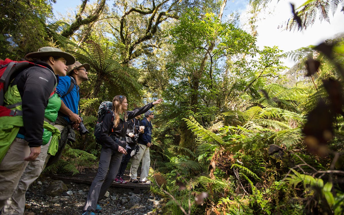 small-group guided walking tour on milford track to giant gate falls-3 small-group guided walking tour on milford track to giant gate falls-3
