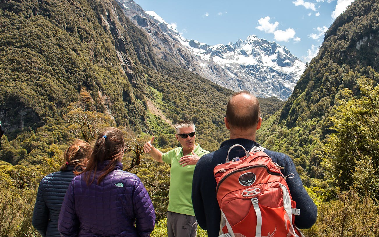 Group hiking with guide on Milford Track, New Zealand, surrounded by lush mountains.