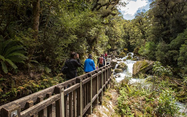 Hikers on a wooden path through lush forest along a river on the Milford Track, Te Anau.