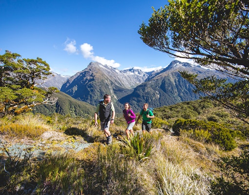 Hikers on Routeburn Track with mountains in Fiordland National Park.