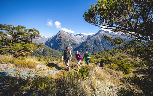 Hikers on Routeburn Track with mountains in Fiordland National Park.