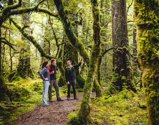 crucero milford sound