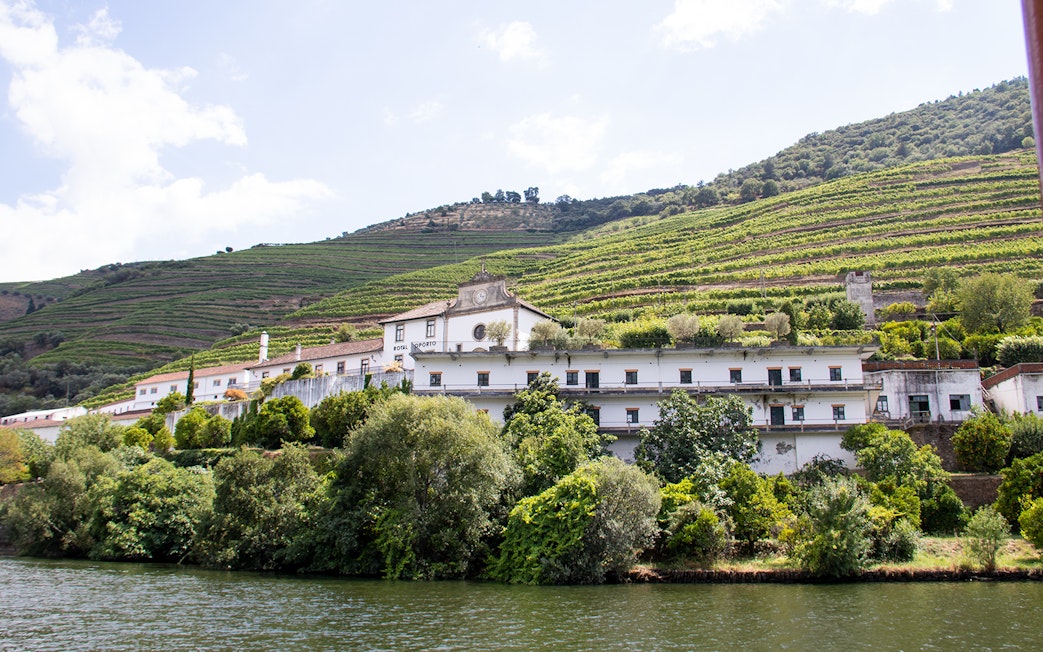 Vineyard terraces and winery in Douro Valley, Portugal, viewed from the river.
