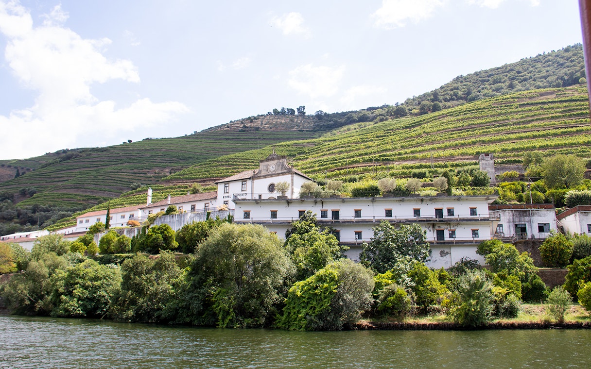 Vineyard terraces and winery in Douro Valley, Portugal, viewed from the river.