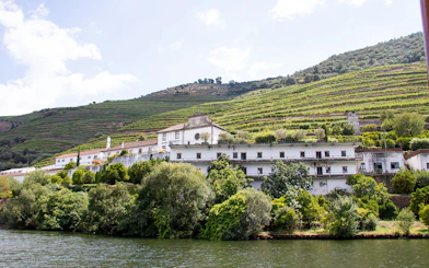 Vineyard terraces and winery in Douro Valley, Portugal, viewed from the river.