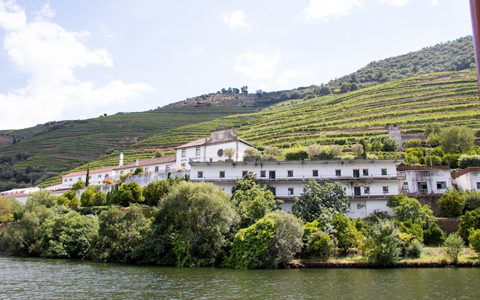 Vineyard terraces and winery in Douro Valley, Portugal, viewed from the river.