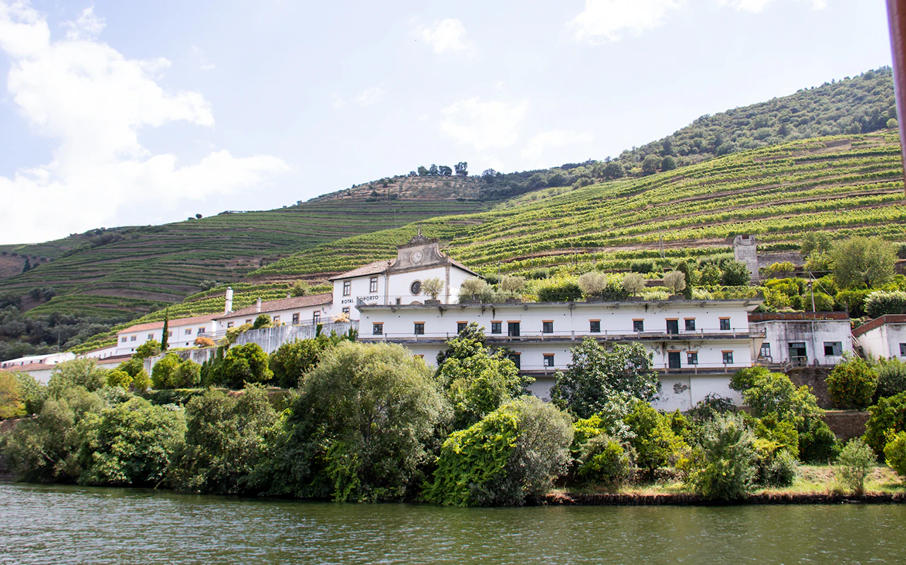 Combo: Biglietti per la Fondazione Serralves + Tour della Valle del Douro — 8