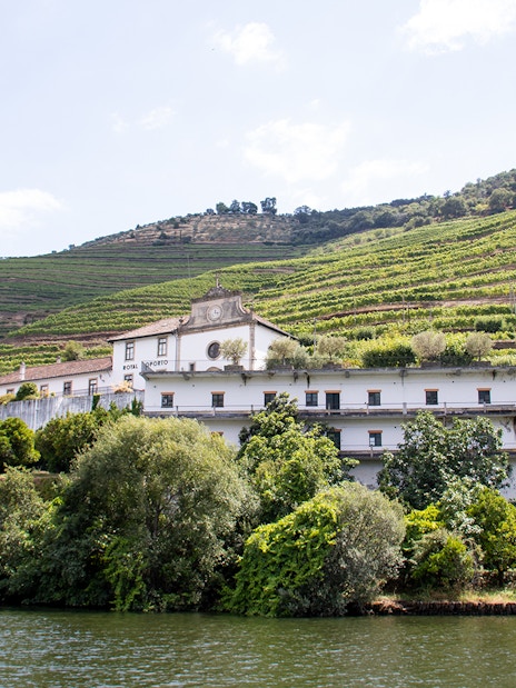 Vineyard terraces and winery in Douro Valley, Portugal, viewed from the river.