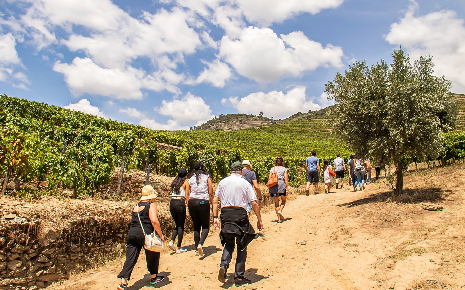 Group walking through vineyards in Douro Valley, Portugal, during a wine tour.