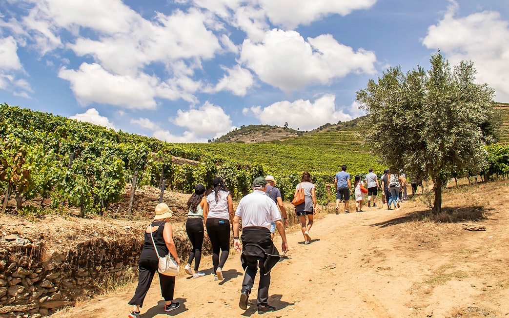 Group walking through vineyards in Douro Valley, Portugal, during a wine tour.