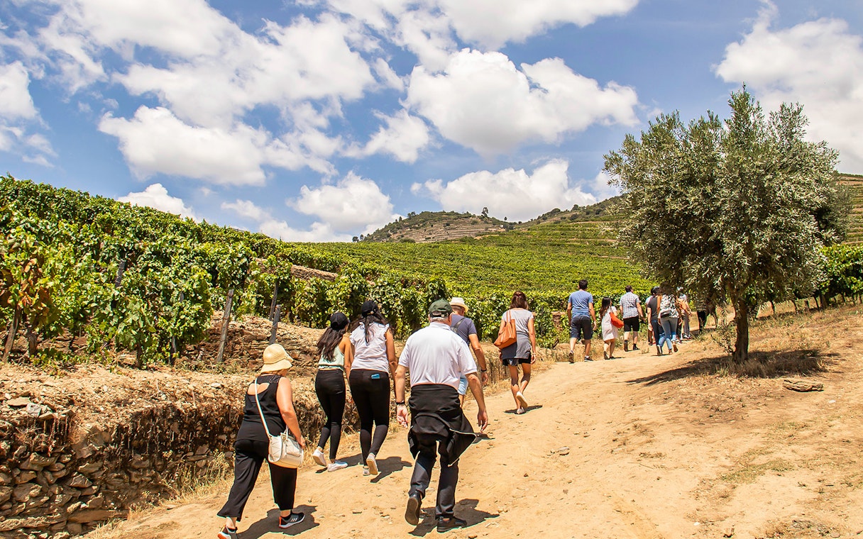 Group walking through vineyards in Douro Valley, Portugal, during a wine tour.