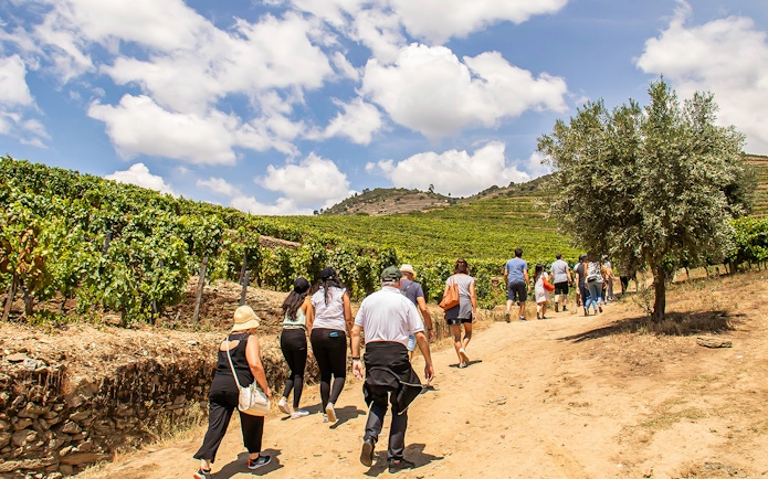 Group walking through vineyards in Douro Valley, Portugal, during a wine tour.