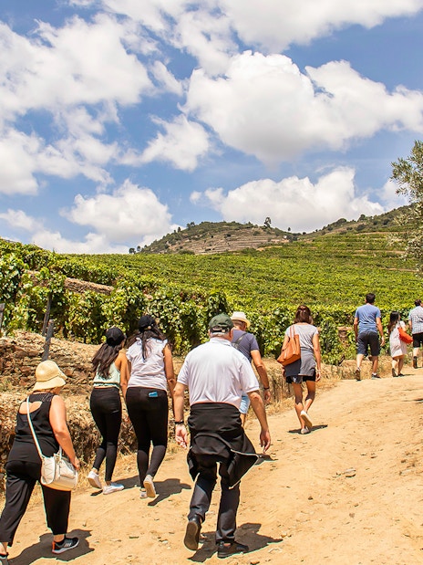 Group walking through vineyards in Douro Valley, Portugal, during a wine tour.