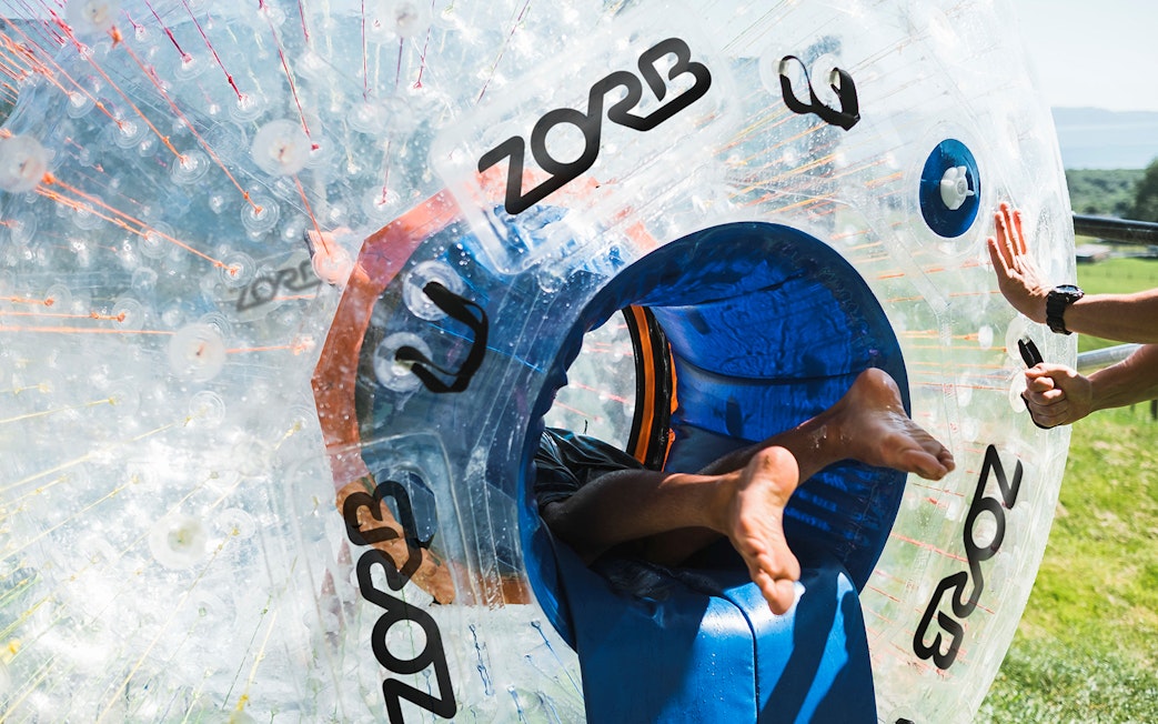 Person entering a Zorb inflatable ball for a ride on a grassy hill.