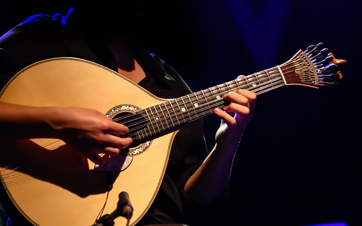 night tour of porto with fado show & dinner-7 night tour of porto with fado show & dinner-7