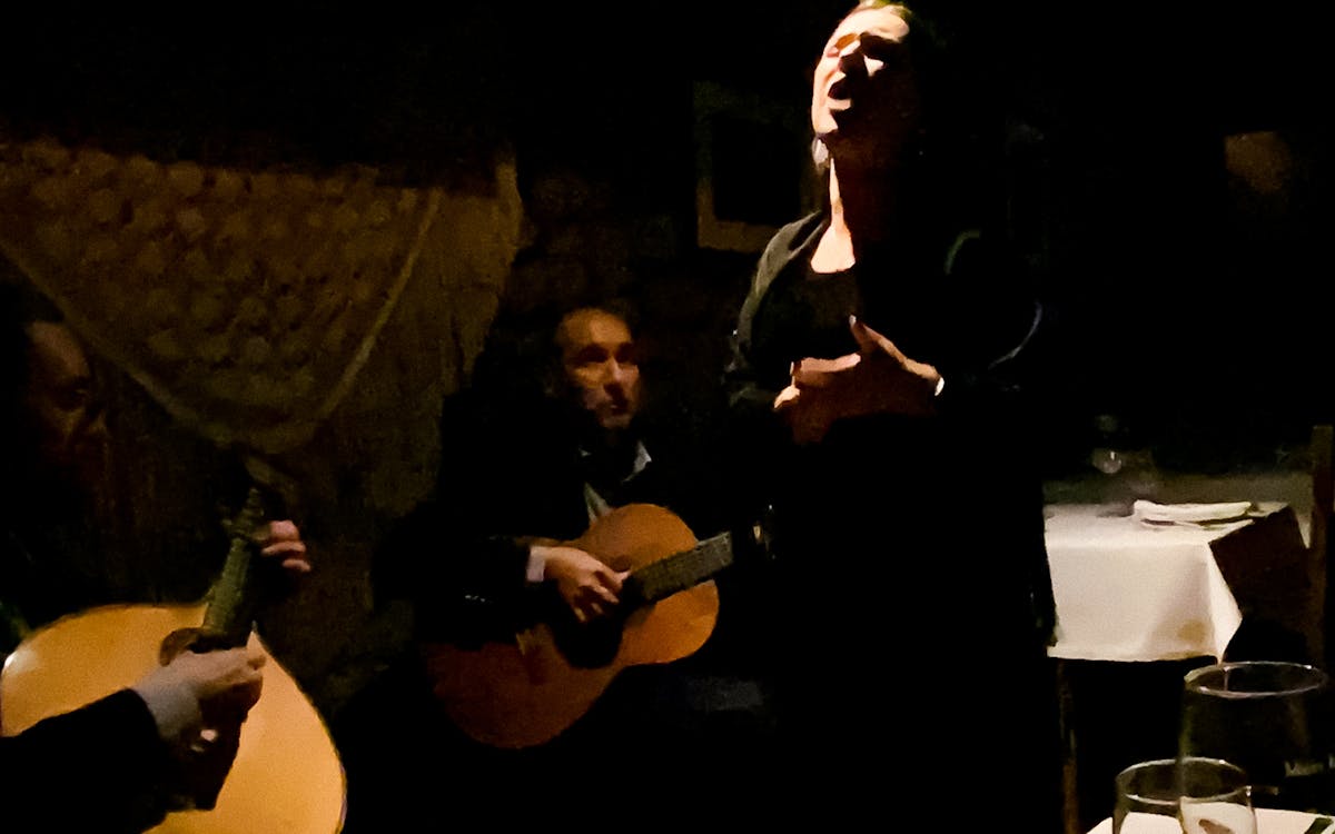 night tour of porto with fado show & dinner-6 night tour of porto with fado show & dinner-6