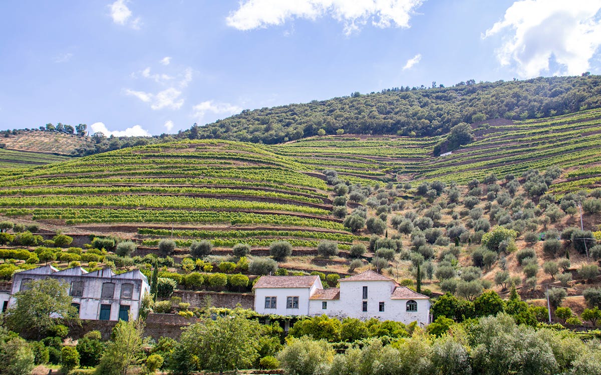 historische douro-tour mit mittagessen, wein und flussfahrt ab porto-6 historische douro-tour mit mittagessen, wein und flussfahrt ab porto-6