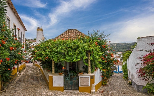 Cobblestone street in Óbidos, Portugal, with vibrant flowers and traditional architecture.