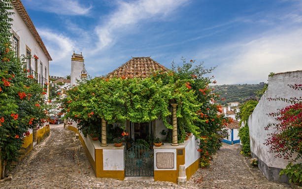 Cobblestone street in Óbidos, Portugal, with vibrant flowers and traditional architecture.