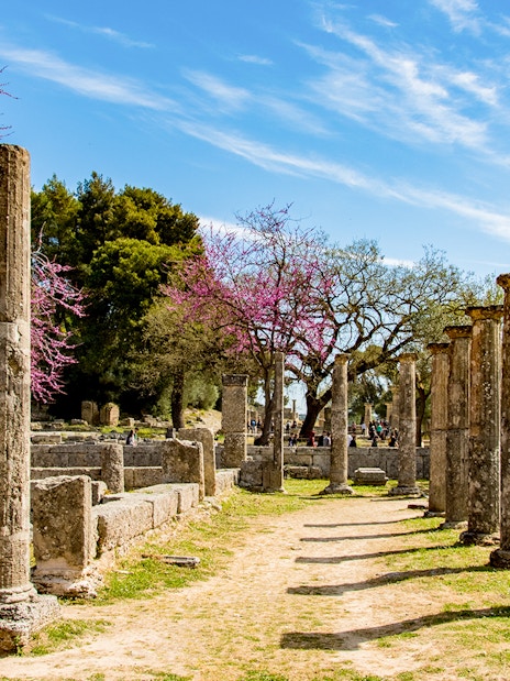 Ancient stone columns at Olympia archaeological site, Greece, with blooming trees in the background.