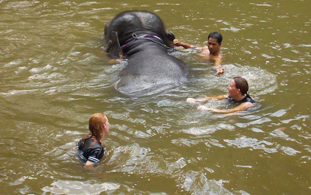 Visitors swimming with an elephant at a sanctuary near Kuala Lumpur.