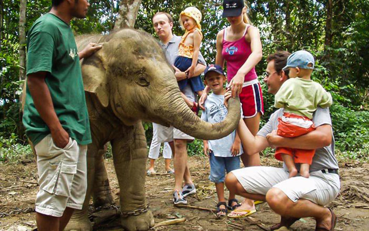 elephant sanctuary wildlife interaction and batu caves tour from kuala lumpur-6 elephant sanctuary wildlife interaction and batu caves tour from kuala lumpur-6