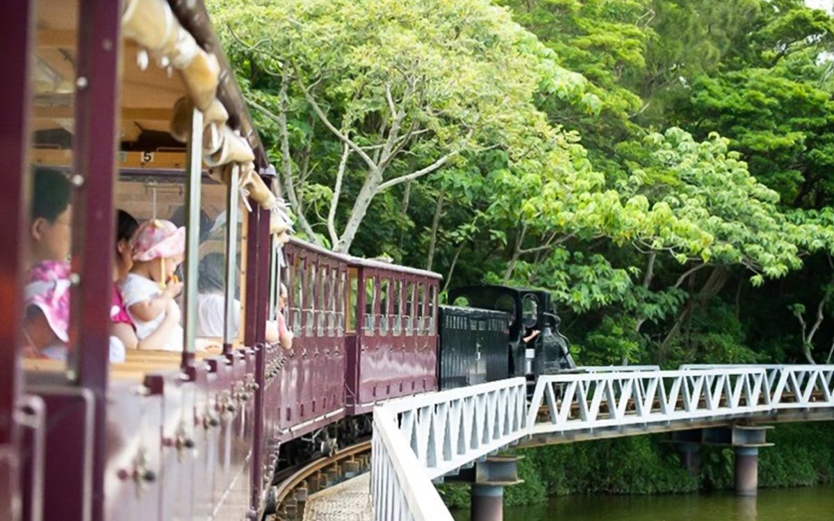 okinawa neo park admission ticket-5 okinawa neo park admission ticket-5