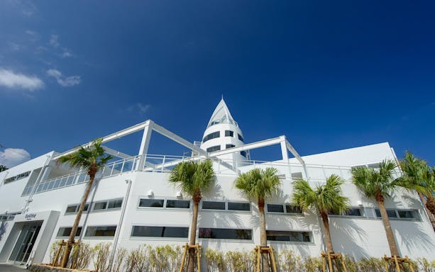 Kouri Ocean Tower with palm trees under a clear blue sky in Okinawa, Japan.