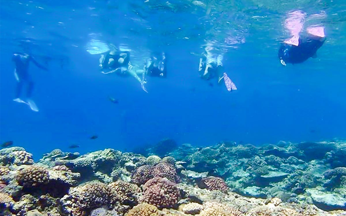 half-day/1-day kerama islands snorkeling tour from naha, okinawa-12 half-day/1-day kerama islands snorkeling tour from naha, okinawa-12