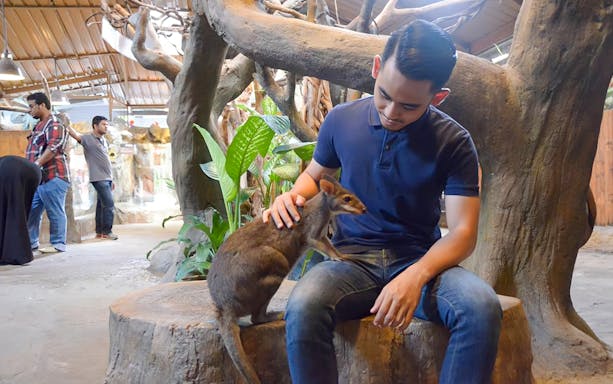 Man interacting with a small kangaroo at KL Tower Mini Zoo, Kuala Lumpur.
