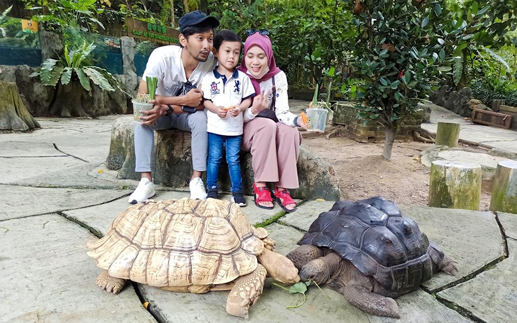Family observing tortoises at Farm In The City.