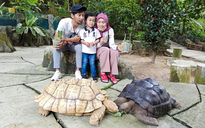 Family observing tortoises at Farm In The City.