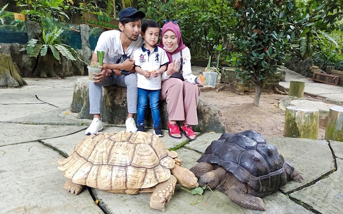 Family observing tortoises at Farm In The City.