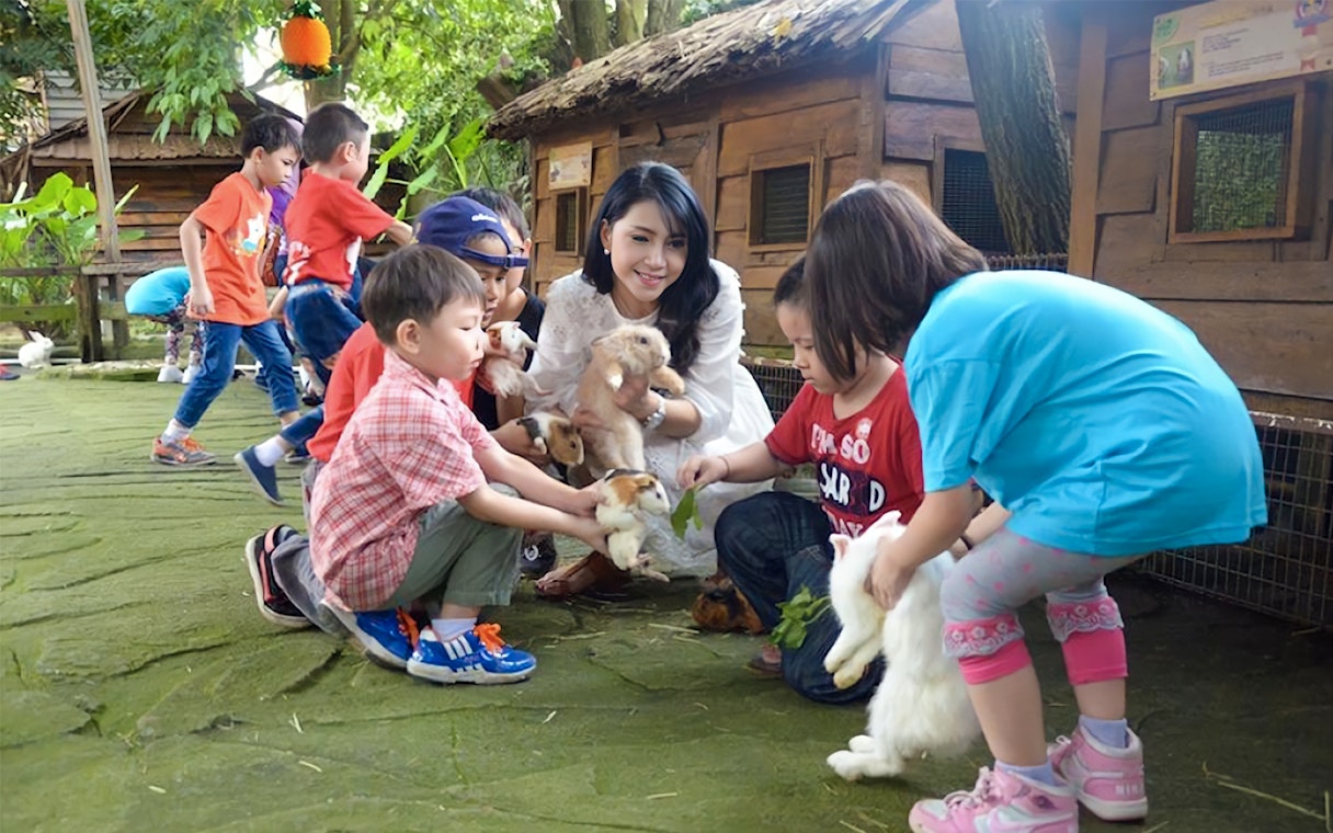 Children interacting with rabbits and guinea pigs at Farm In The City.