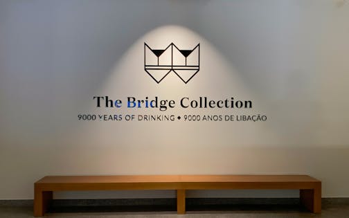 Entry Ticket to The Bridge Collection