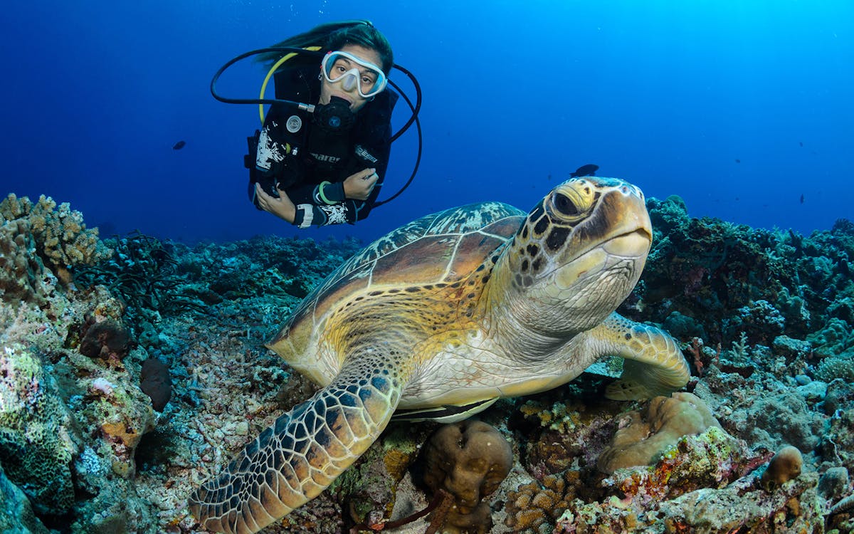 kerama islands diving tour from naha-4 kerama islands diving tour from naha-4