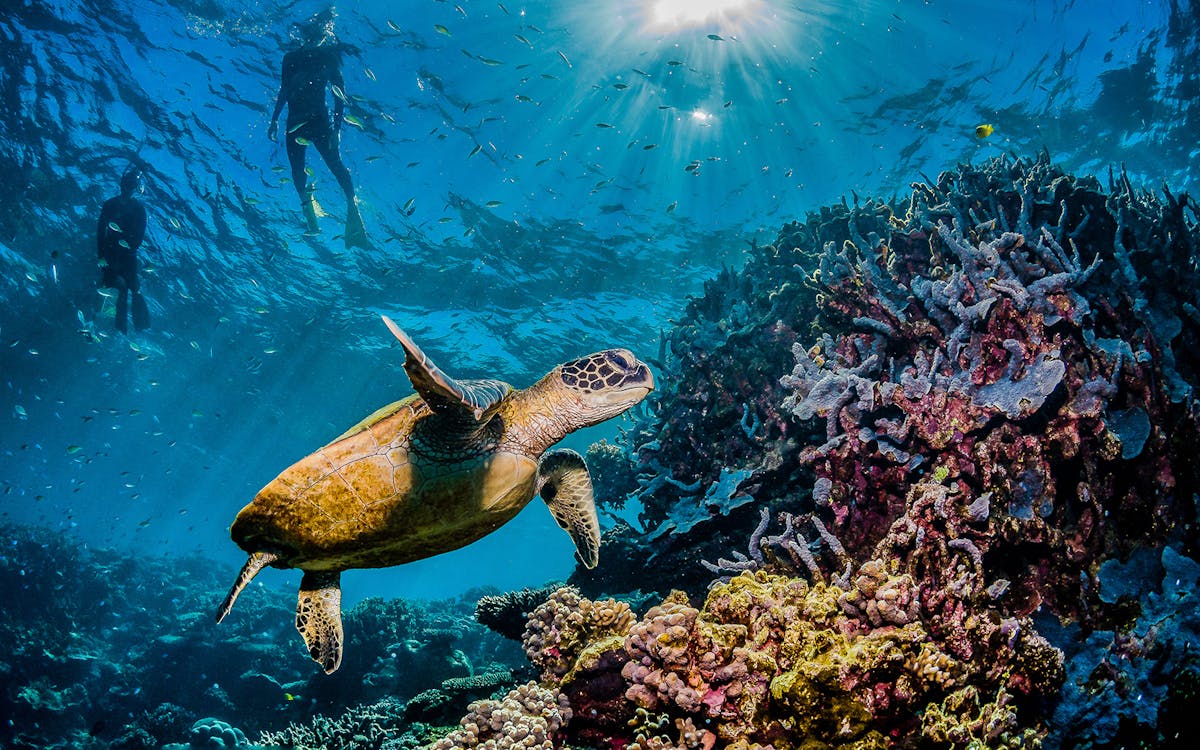 kerama islands diving tour from naha-2 kerama islands diving tour from naha-2