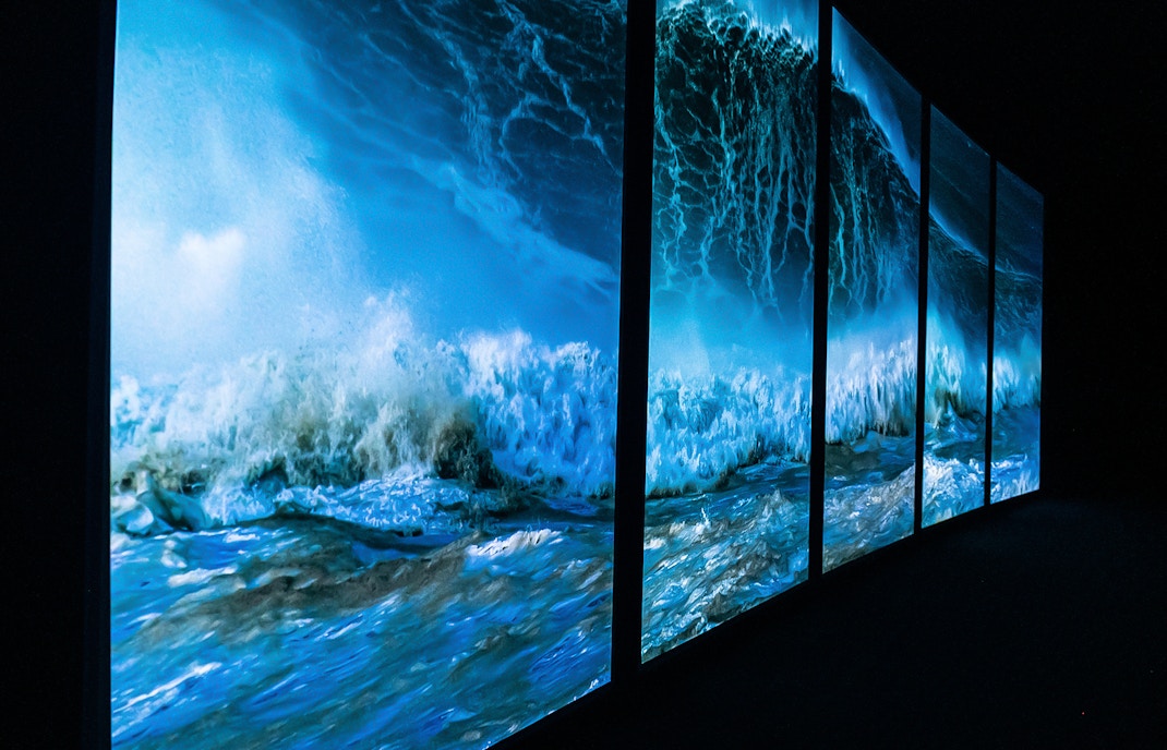 Sustainability Effort by Lisbon Oceanarium