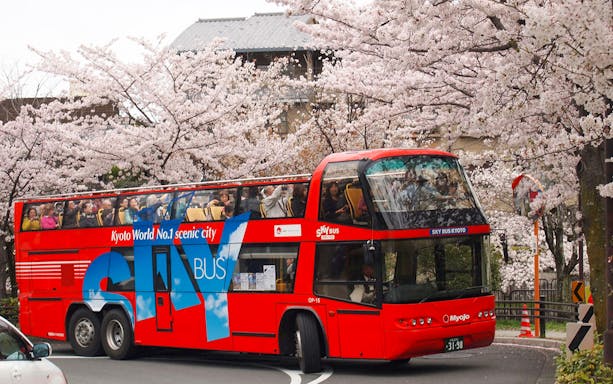 Red double-decker bus on Kyoto sightseeing tour passing cherry blossoms.