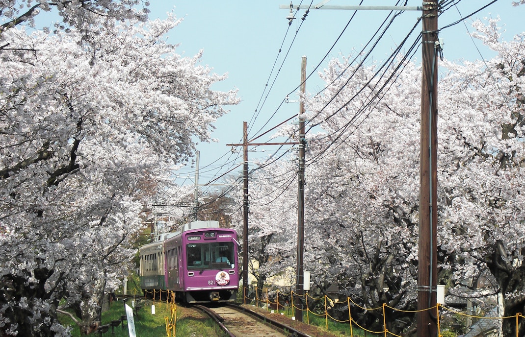 Guide to Visiting the Sagano Romantic Train in Kyoto