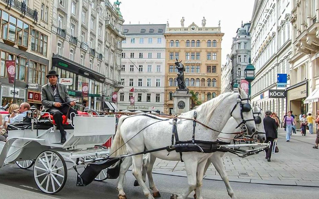 Horse-drawn carriage on a street in Vienna during a guided walking tour.