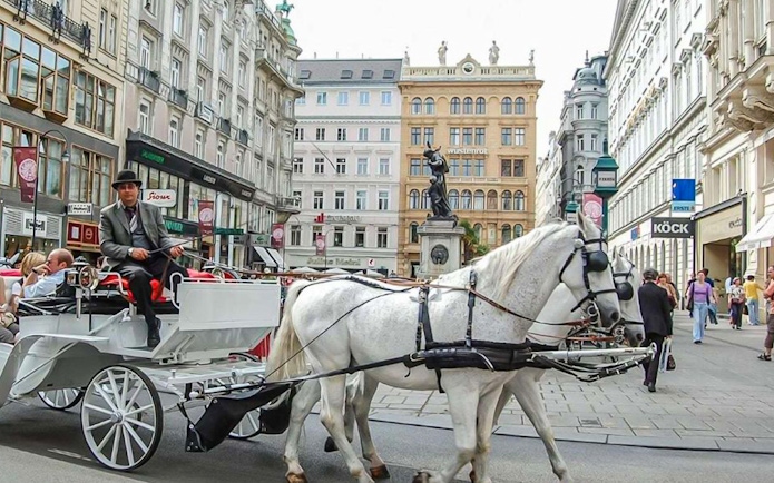 Horse-drawn carriage on a street in Vienna during a guided walking tour.