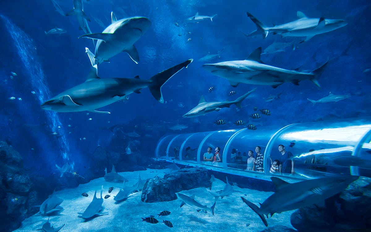 go city: singapore all-inclusive pass with 40+ top attractions-7 go city: singapore all-inclusive pass with 40+ top attractions-7