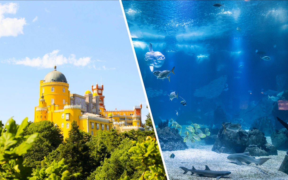 Lisboa's Oceanário marine life and National Palace of Pena in Sintra, Portugal.