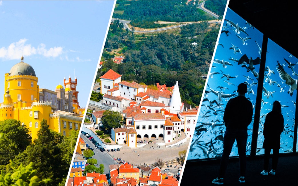 Lisboa's Oceanário, National Palace of Pena, and National Palace of Sintra in a collage.