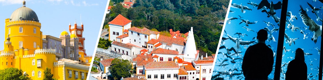 Combo: biglietti per Oceanário di Lisbona + Palácio da Pena + Palazzo di Sintra