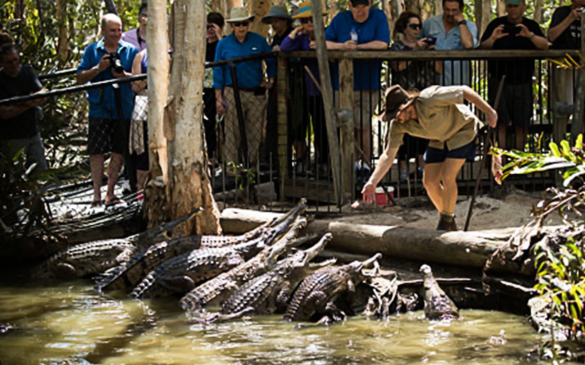 full day tour of hartley's and cairns aquarium-6 full day tour of hartley's and cairns aquarium-6