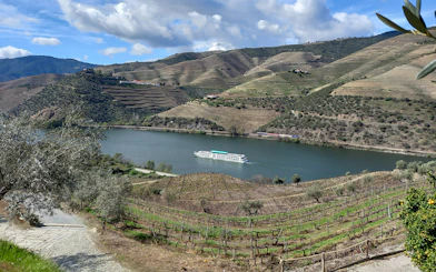 Cruise ship on Douro River with terraced vineyards in Douro Valley, Portugal.