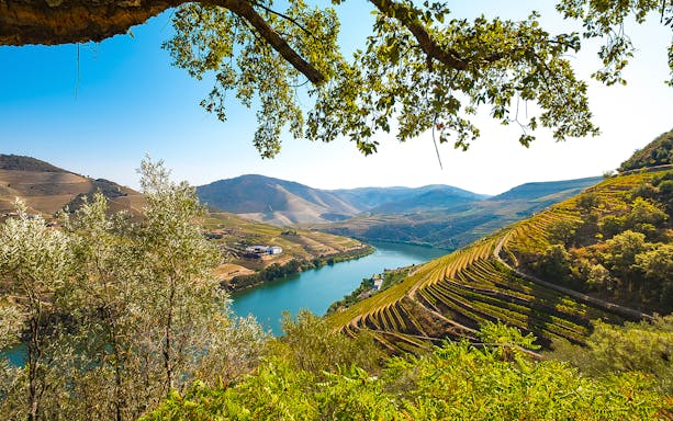 Vineyards along the Douro River in the Douro Valley, Portugal, viewed from a scenic cruise.