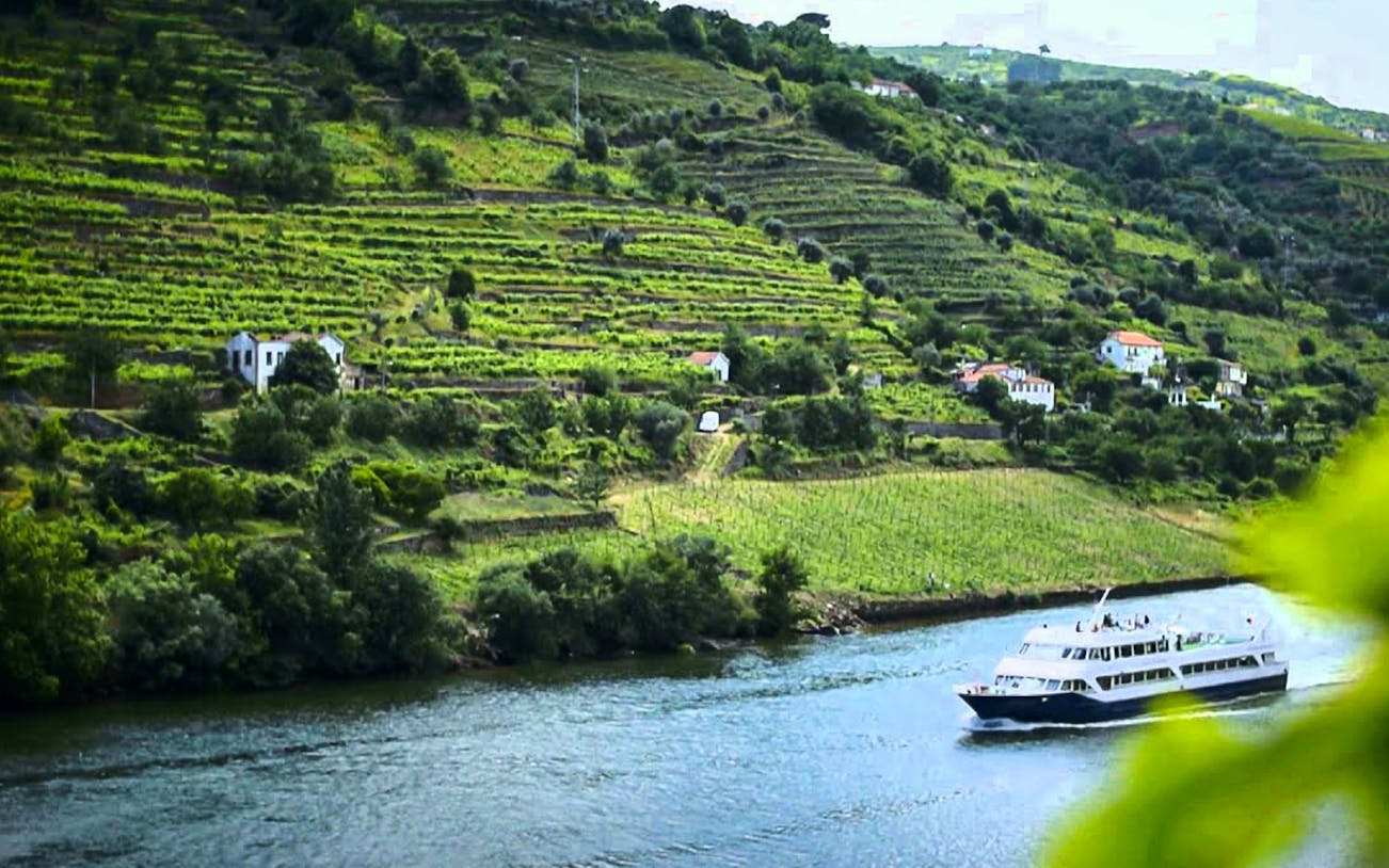Cruise boat on Douro River with terraced vineyards in Douro Valley, Portugal.